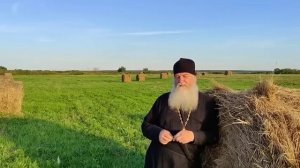 Соседи. Рассказы сельского батюшки