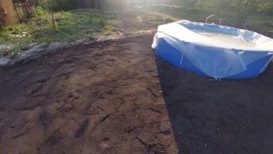 Как сделать газон на даче своими руками пошаговая инструкция