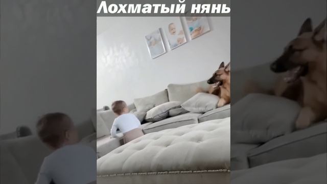 Догонялки