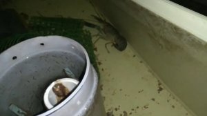 АККР. Запуск УЗВ #6 и #7.mp4