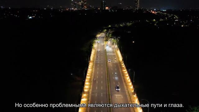 Самые болезненные породы кошек: топ-5