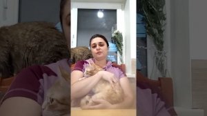 Энтерит у собаки пройдет если дать ей это. Parvoviral gastroenteritis in a dog will pass faster if.