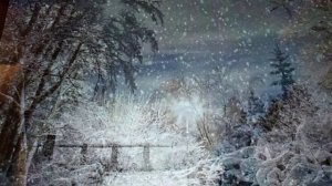 "Снежинка" К. Бальмонт. Читает Анжелика Корган