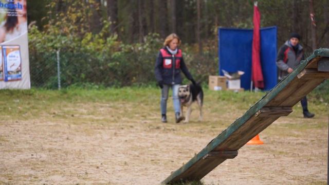 C0010 1 смотреть онлайн