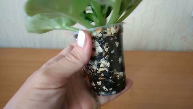 Яичная скорлупа как разрыхлитель