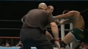 Емельяненко против Тайсона