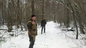 Загонная охота на кабана 2020.19 декабря. Часть третья.