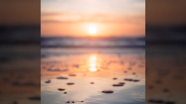 Чувство - Безмятежный дача смотреть онлайн