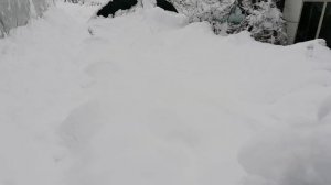 Балаган из арматуры выдержал снег.