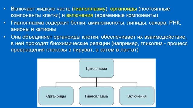 Биология 7-8. Лекция 5. Клетка. Улитина Н. Н. смотреть онлайн