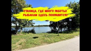 Станица, где много работы и рыбалки. Станица Нововеличковская: недвижимость, сады, школы, больницы