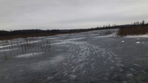 Щука на жерлицы на незнакомом водоёме