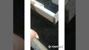 КАК ЗАЛИТЬ ФУНДАМЕНТ ПОД ДУШ, ТУАЛЕТ, РАЗМЕРЫ ФУНДАМЕНТА