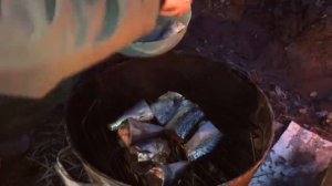 Как коптить рыбу без коптильни