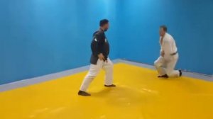 Hontai Yochin Ru Ju Jutsu