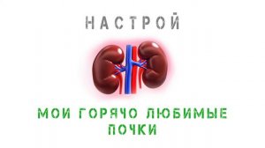 Мои горячо любимые почки - настрой Г.Н. Сытина
