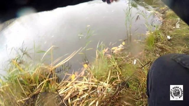 Я ПОЙМАЛ РЫБУ!!! БЕЛАЯ ДАЧА 14.10.21 смотреть онлайн