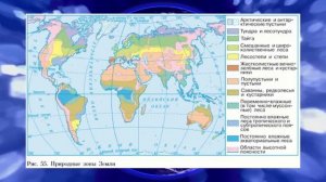География 7кл. §20 "Природные зоны Земли"