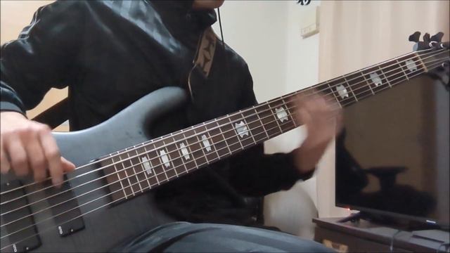 Testament - D.N.R. (Do Not Resuscitate) (Bass Cover) смотреть онлайн