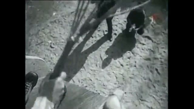 Давай, товарищ, полетим смотреть онлайн