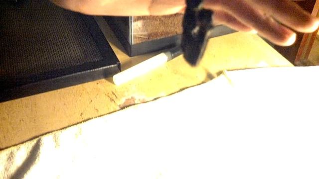 My Giant Emperor Scorpion смотреть онлайн