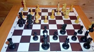 66B42 Сицилианская защита вариант Паульсена 0 1