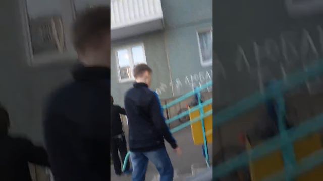 Стая голубей смотреть онлайн