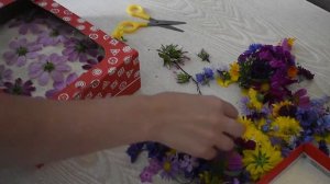 КАК СУШИТЬ ЦВЕТЫ? Сухоцвет не отличить от живых цветов! Объемная сушка. Где взять сухоцветы?