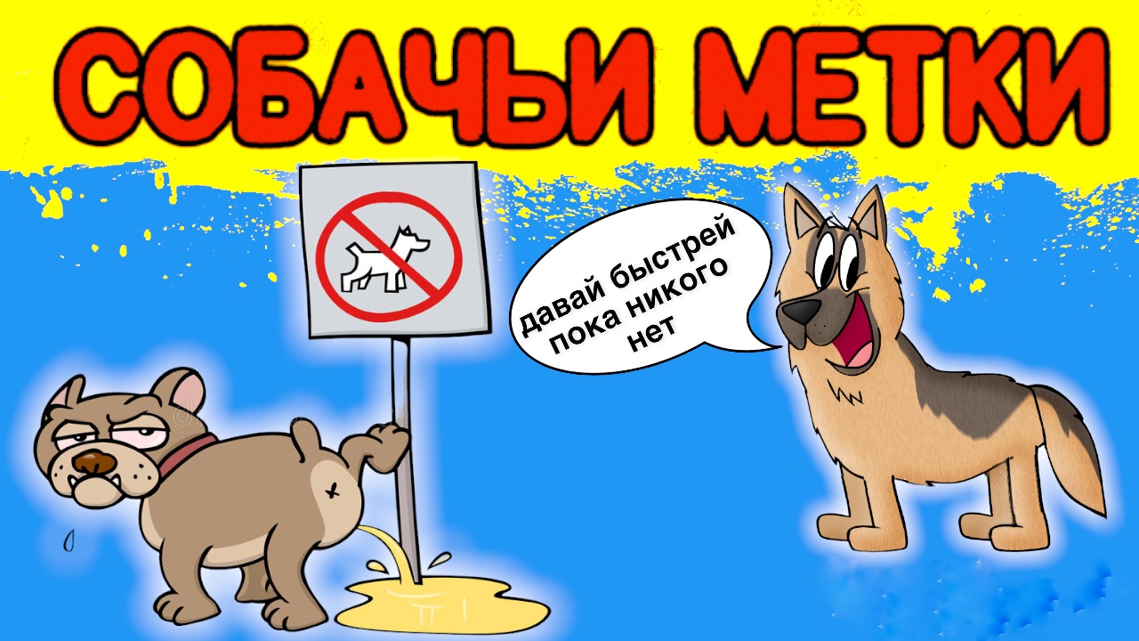 Собачьи метки. смотреть онлайн