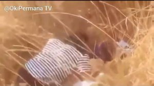 Ketahuan lagi gituan Di Kebun Langsung Direkam Oleh Warga