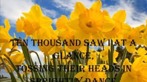 Daffodils by William Wordsworth