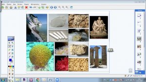 Соли. Учимся составлять формулы. 8 класс часть 2