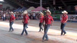 Fast As A Shark line dance - WILD COUNTRY - Voghera Country Festival 2012