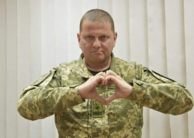 Избирательный фонд главкома Залужного