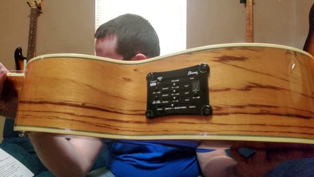 Acoustic Guitar Review: Ibanez Exotic Wood Series EW20ZWE (2012)