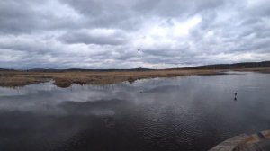 Аэролодка Берег с  Хонда Л15. Тесты по воде.