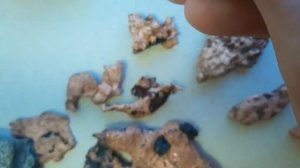 Самородная медь образцы