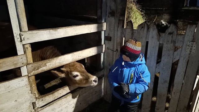 🤸Коля в кадре/ 🐓Клюёт/