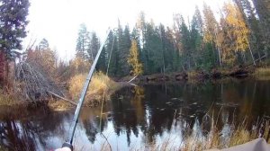 Пытался поймать щуку на воблеры 110-160мм и вот что из этого вышло.