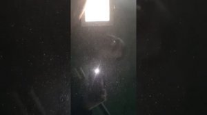 Далой паутинки и голограммки на кузове.