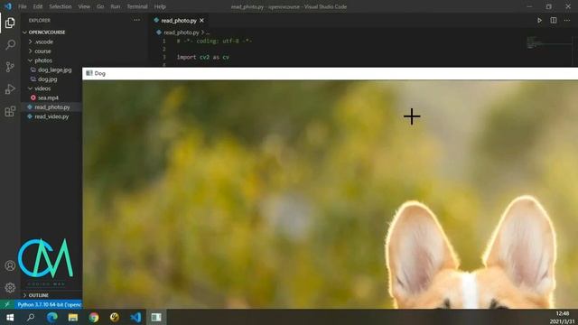 OpenCV 入门教程——03 图像读写 смотреть онлайн