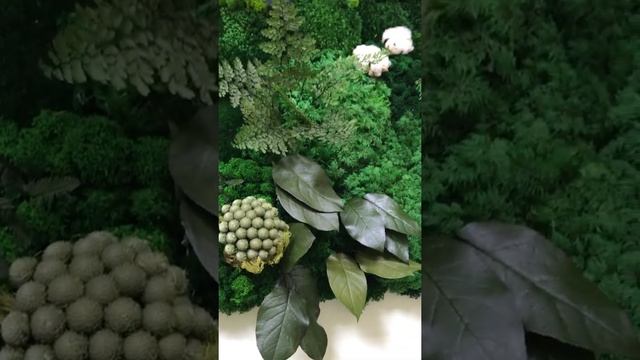 Картина из стабилизированных мхов и растений в офисе
