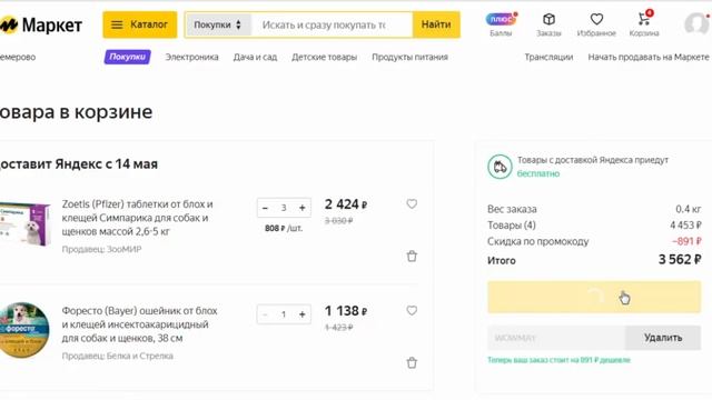 Щенкам шпица 69 дней. Находчивая Рыжулька. Получили метрики. Готовимся к прогулке