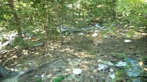 2011-08-25 БЛК безымянный островок с мусором