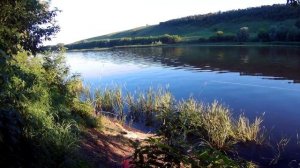 Рыбалка в конце июня! Карась ещё идёт на Дону!