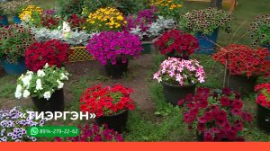 «Тиэргэн»  (10.08.23)