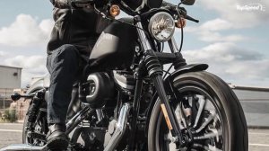 2015 Harley-Davidson Iron 883