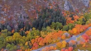 «Осенний лес» 4K ? Нежная расслабляющая фортепианная музыка - Осенний пейзаж