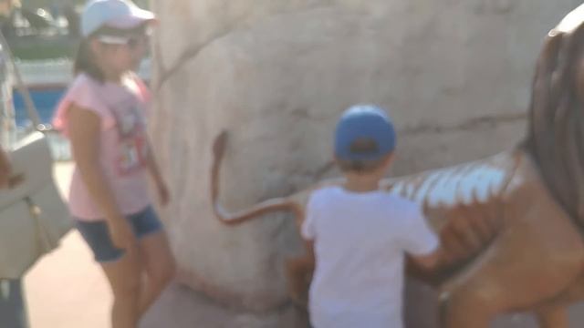 Плавательный бассейн в Анталии - Олимпийский комплекс - Сказочный парк смотреть онлайн