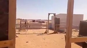 Где камбуля?